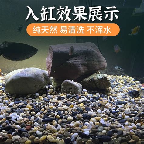 魚缸石頭種類|魚缸造景石怎麼選擇和擺放？這4個方面，你需要重點注意